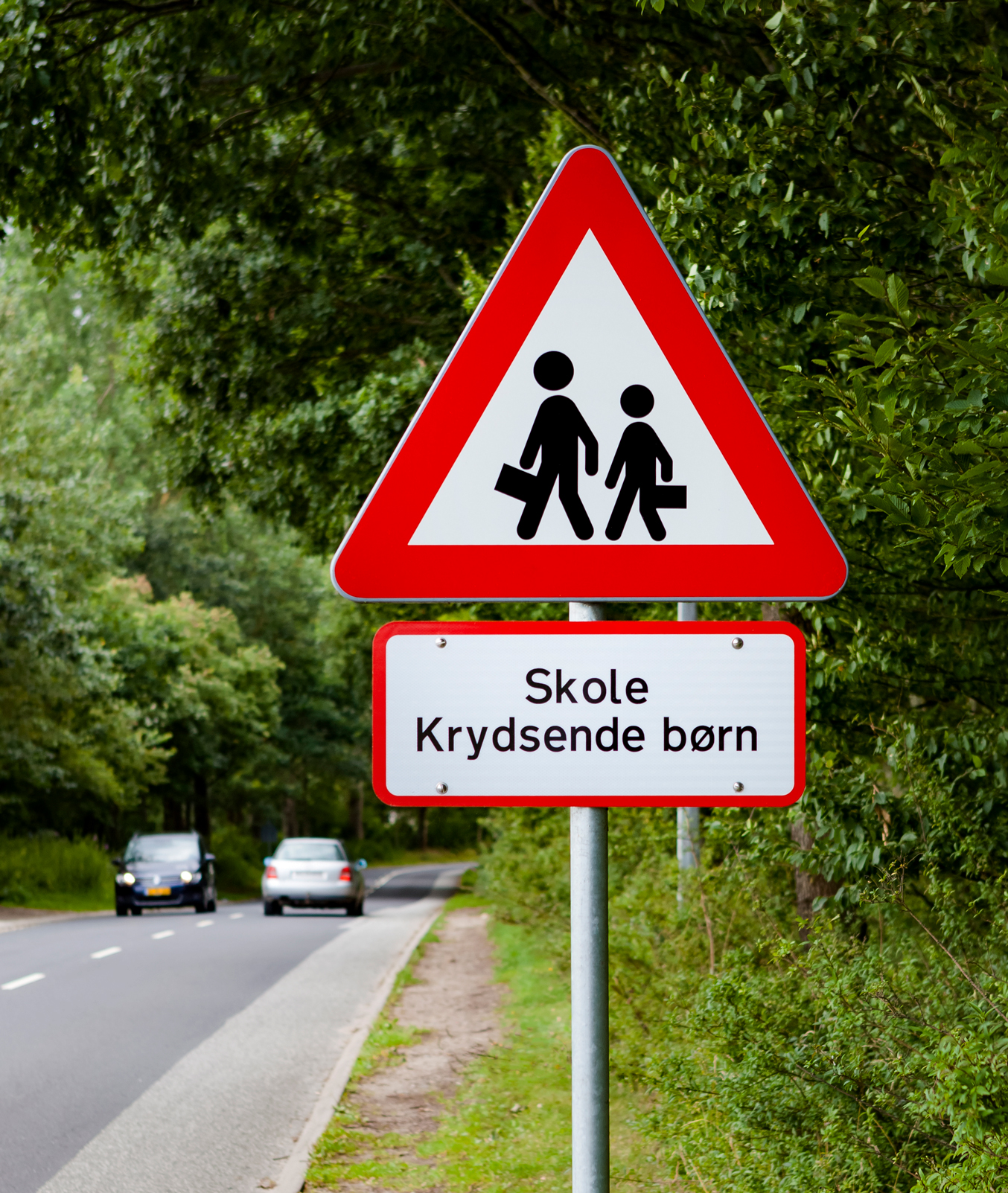Skole Krydsende børn